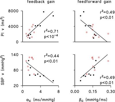 Closed-Loop Cardiovascular Interactions and the Baroreflex Cardiac Arm: Modulations Over the 24 h and the Effect of Hypertension